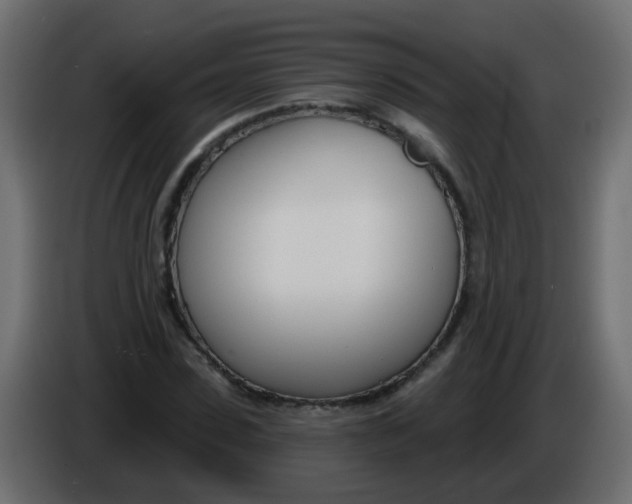 X0000086070923200704132037