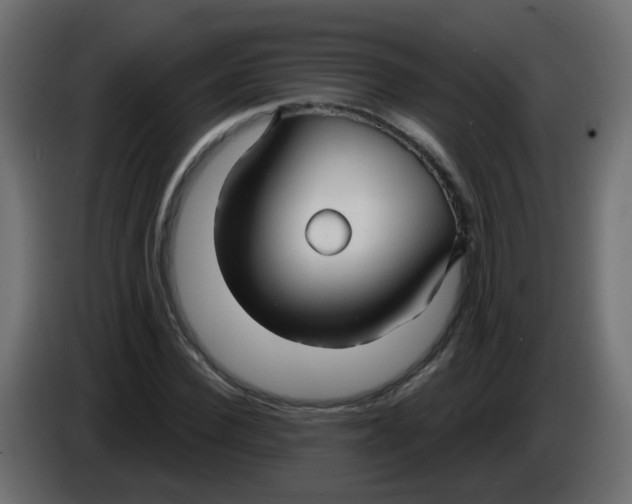 X0000086070924200704132037