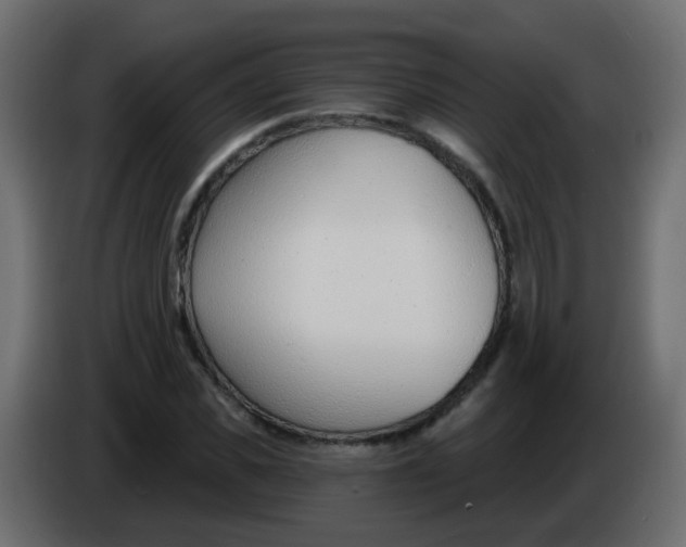 X0000086070925200704132037