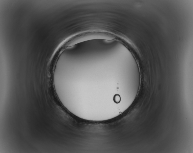 X0000086070926200704132037