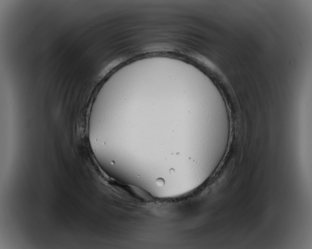 X0000086070929200704132037
