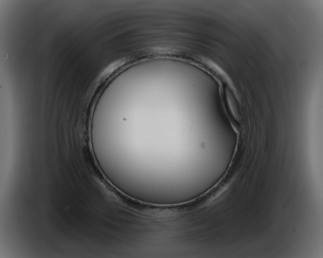 X0000086070930200704132037