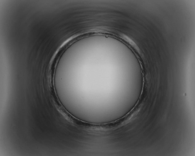 X0000086070931200704132037