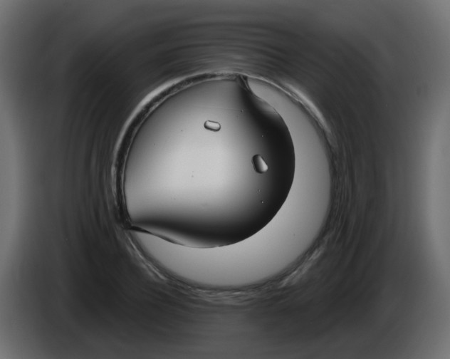 X0000086070932200704132037