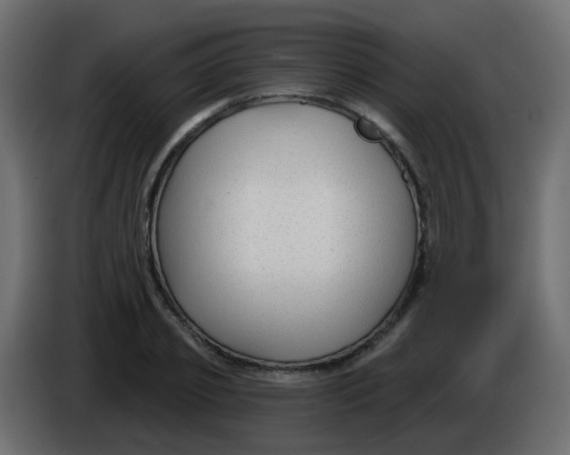 X0000086070933200704132037