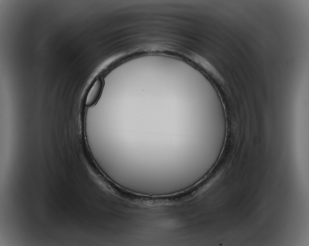 X0000086070934200704132037