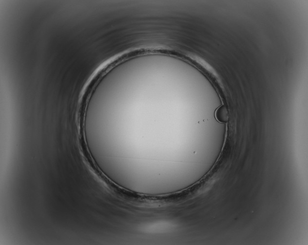 X0000086070935200704132037