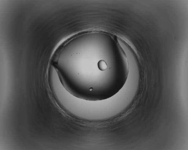 X0000086070936200704132037