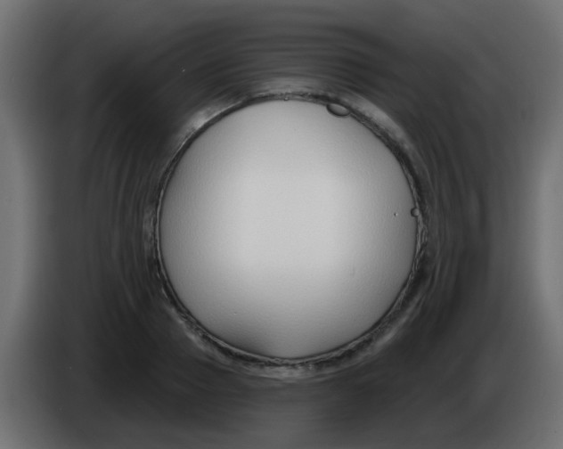 X0000086070937200704132037