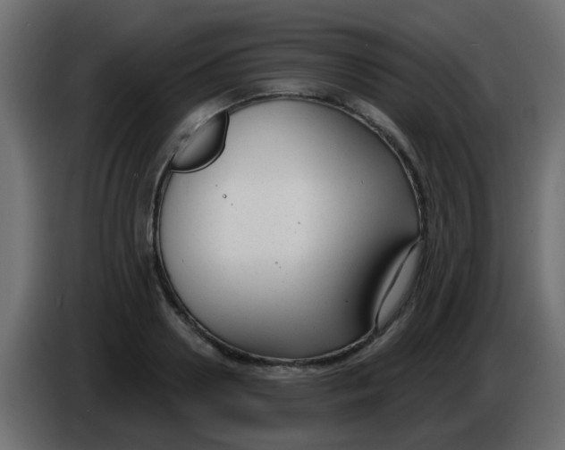 X0000086070938200704132037