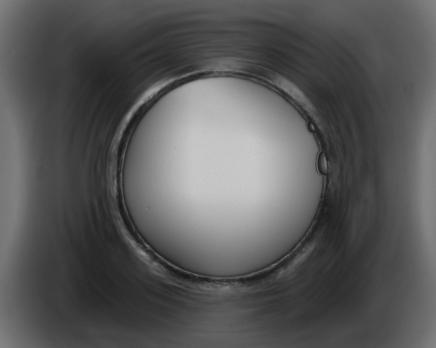 X0000086070939200704132037