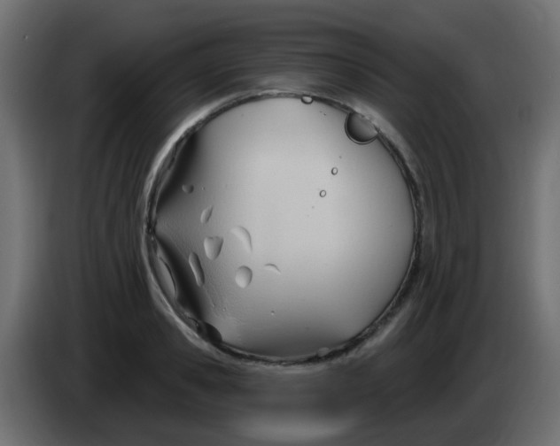 X0000086070941200704132037