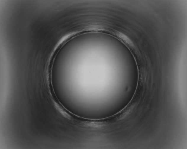 X0000086070942200704132037