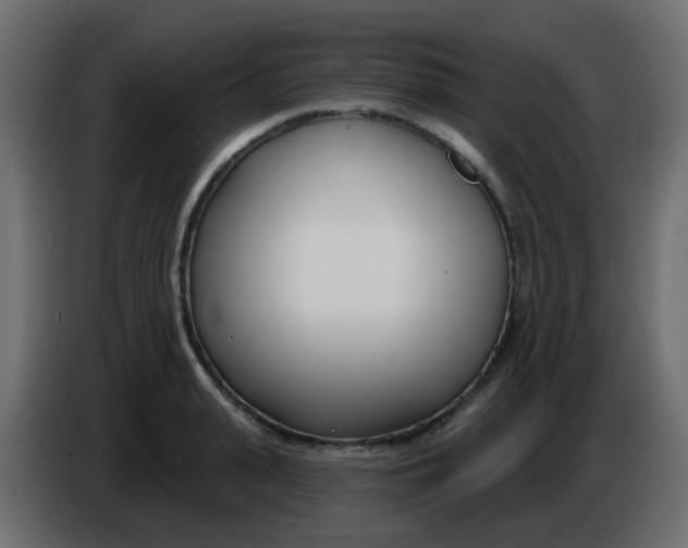 X0000086070943200704132037