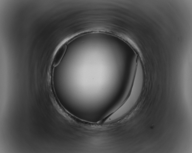 X0000086070944200704132037