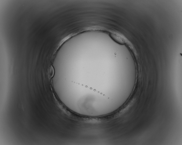 X0000086070945200704132037