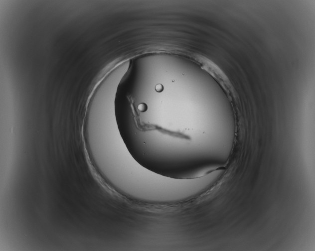 X0000086070946200704132037