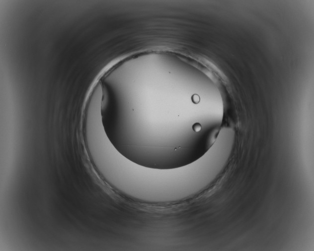 X0000086070948200704132037