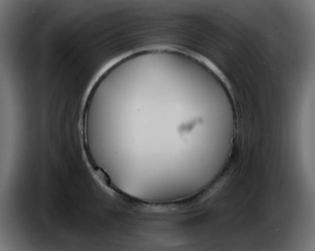 X0000086070951200704132037