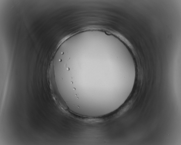 X0000086070953200704132037