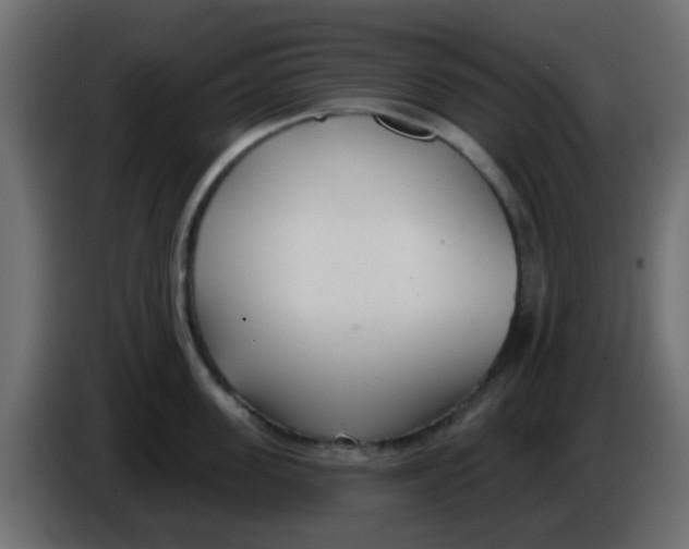 X0000086070955200704132037