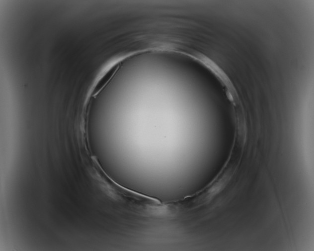 X0000086070956200704132037