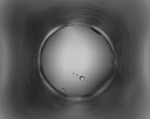 X0000086070957200704132037
