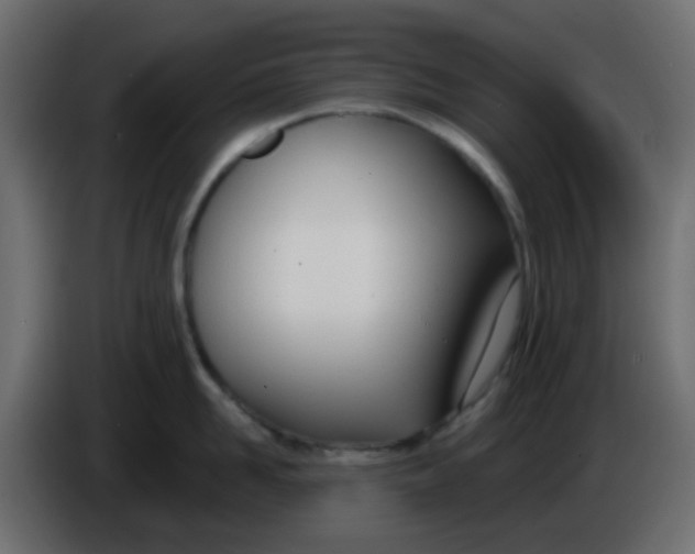 X0000086070958200704132037