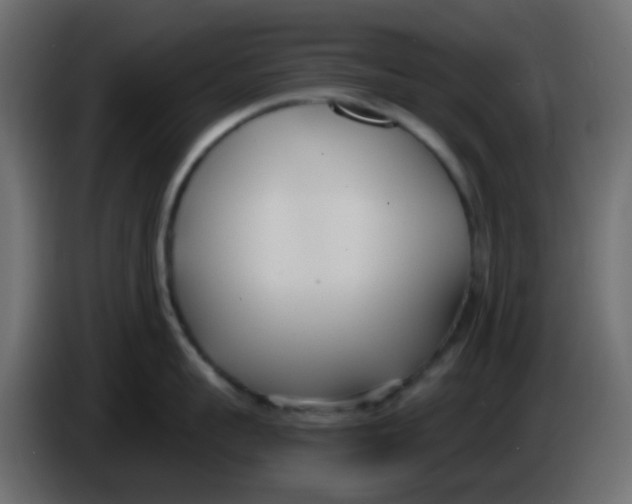 X0000086070959200704132037