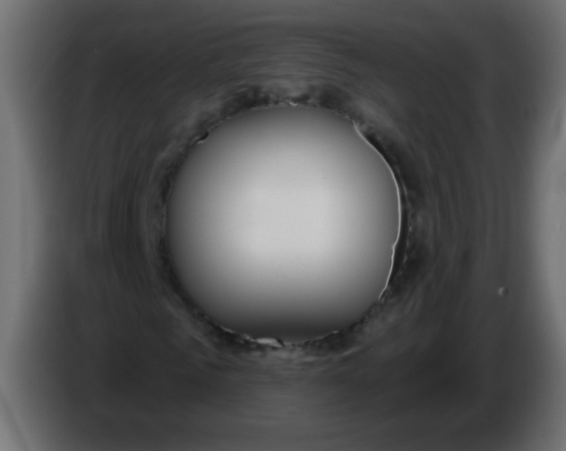 X0000086070961200704132037
