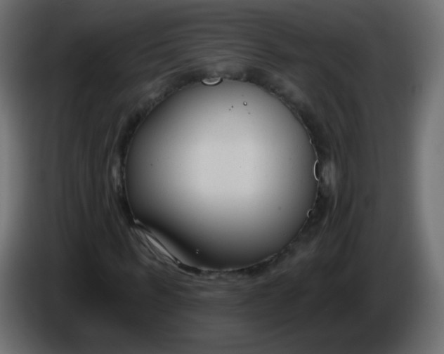 X0000086070963200704132037