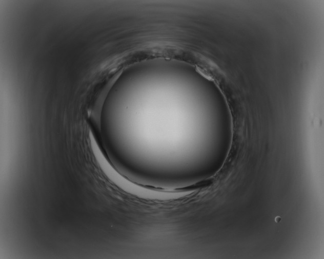 X0000086070965200704132037