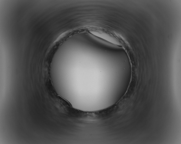 X0000086070968200704132037