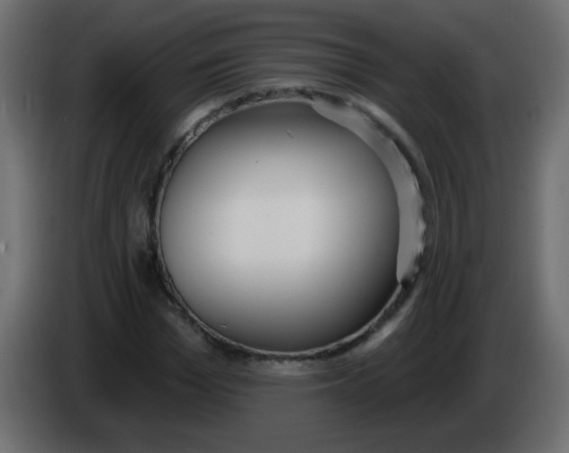 X0000086070969200704132037