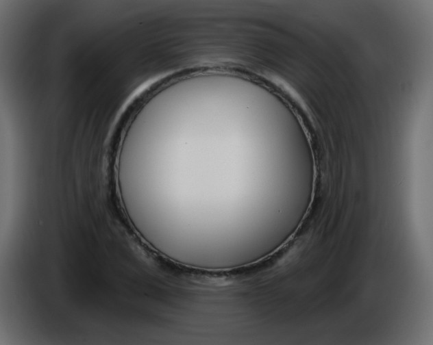 X0000086070975200704132036