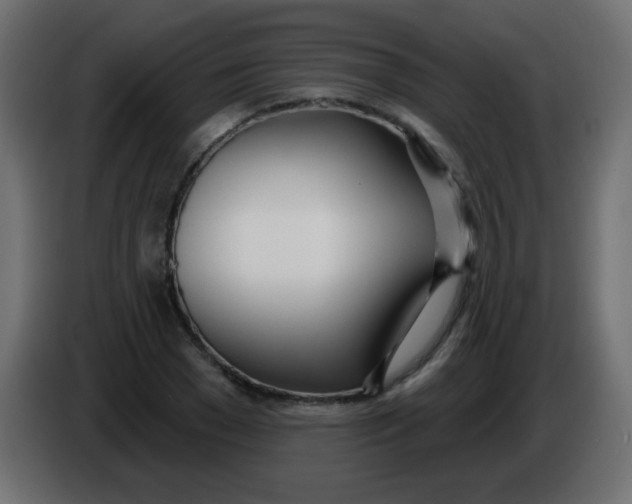 X0000086070977200704132036