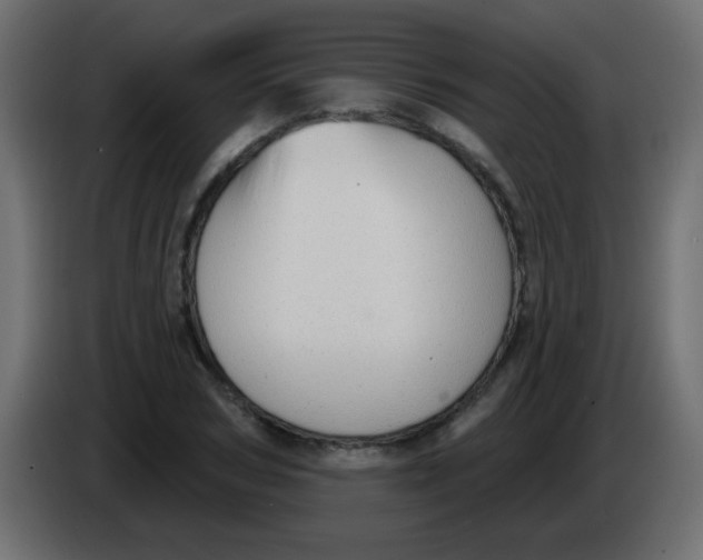 X0000086070978200704132036