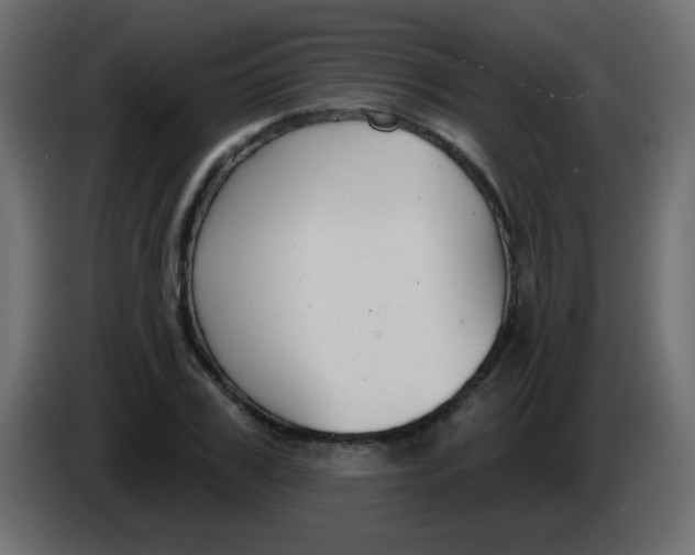 X0000086070979200704132036