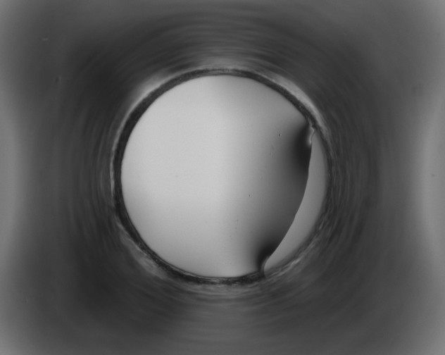 X0000086070980200704132036