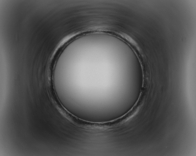 X0000086070981200704132036