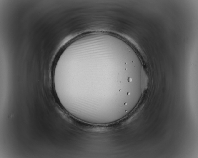 X0000086070982200704132036