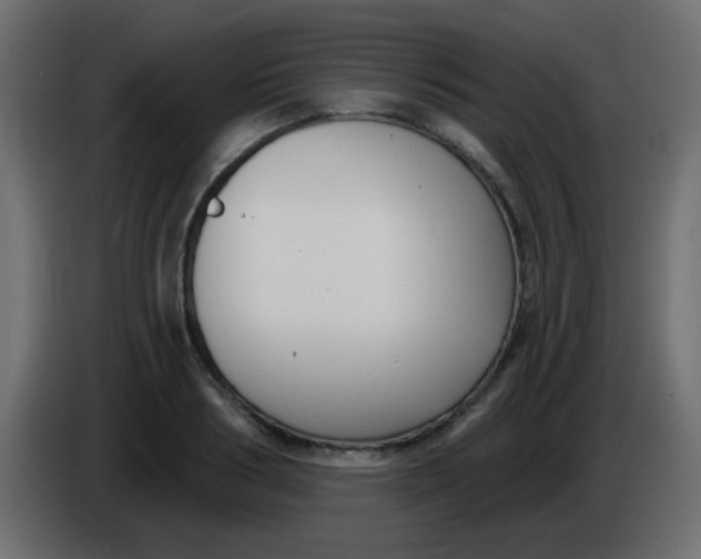 X0000086070986200704132036