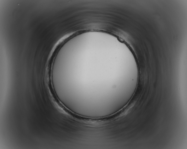 X0000086070987200704132036