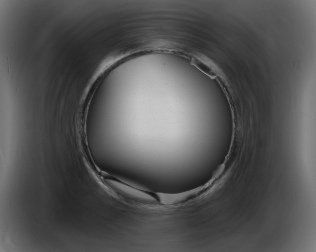 X0000086070989200704132036
