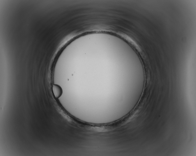 X0000086070990200704132036