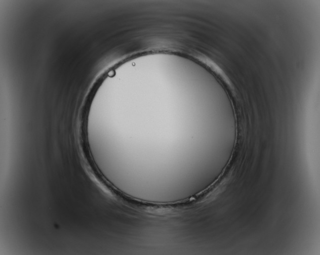 X0000086070991200704132036