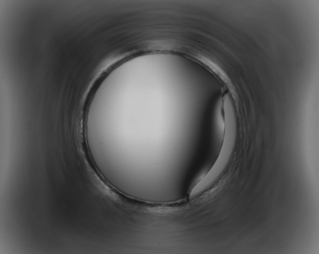 X0000086070992200704132036