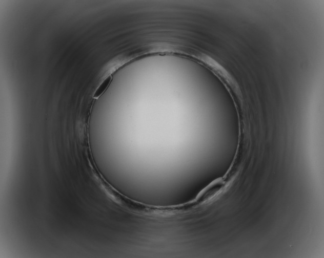 X0000086070993200704132036