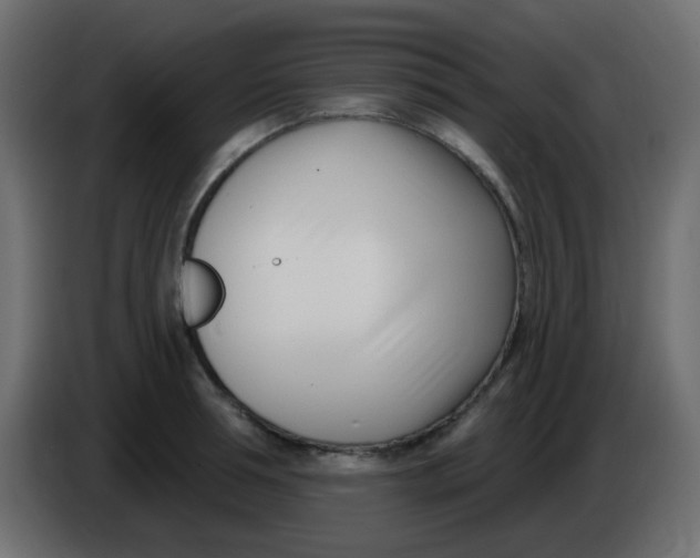 X0000086070994200704132036