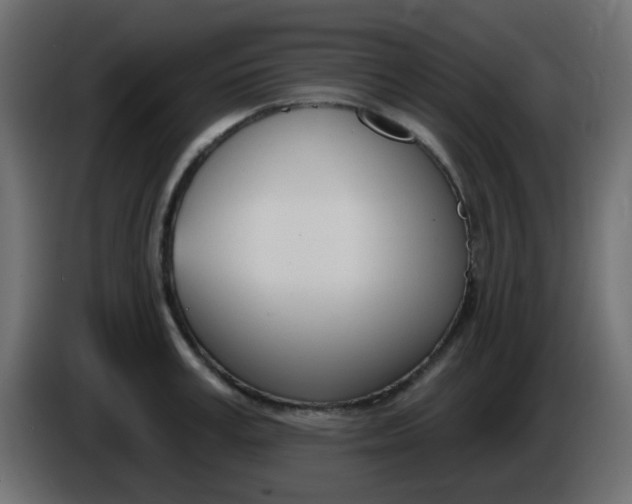 X0000086070995200704132036